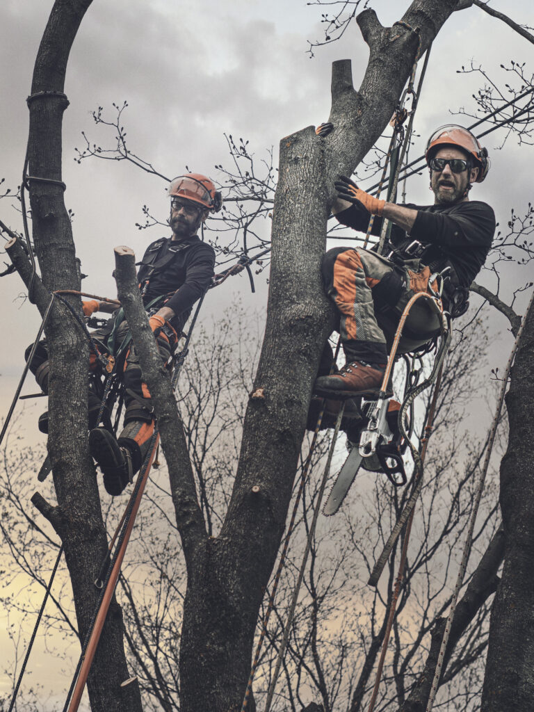 Baumpflege Team Esslingen Über Uns